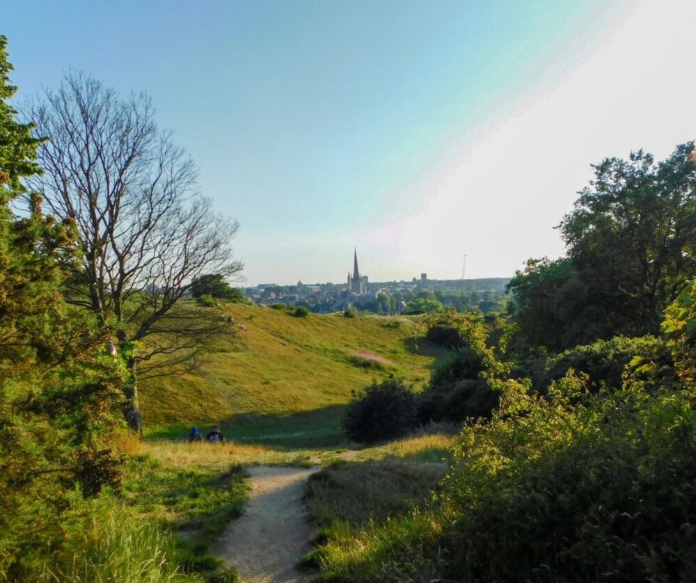 view to Norwich