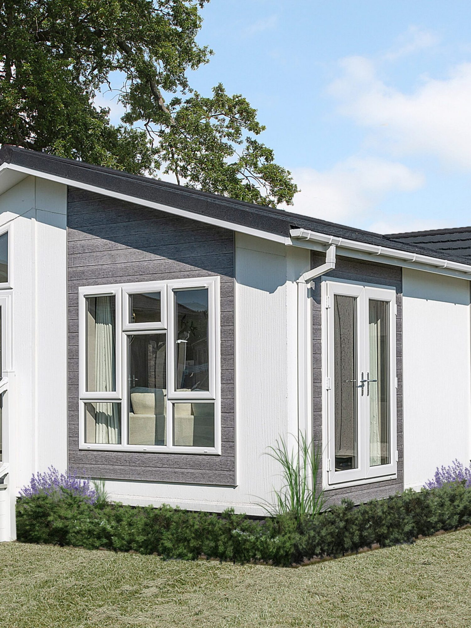 Anniversary-2024SFS-v2